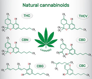 A World of Cannabinoids; Not just CBD and THC - Reclaim Labs