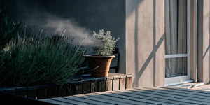 7 Best Herbs for Inflammation & Joint Pain Relief - Reclaim Labs