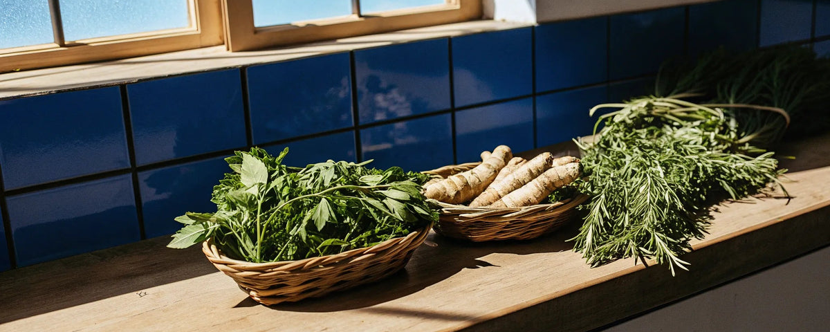 7 Best Herbs to Reduce Inflammation Naturally