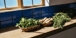 7 Best Herbs to Reduce Inflammation Naturally - Reclaim Labs