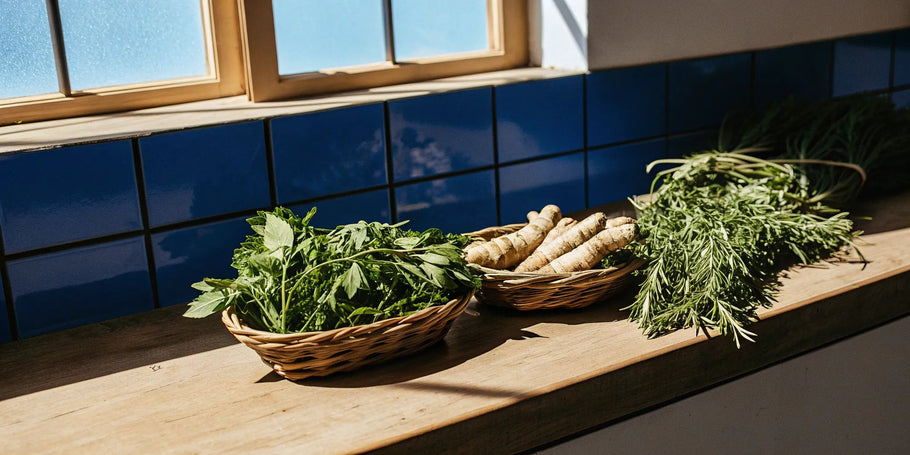 7 Best Herbs to Reduce Inflammation Naturally
