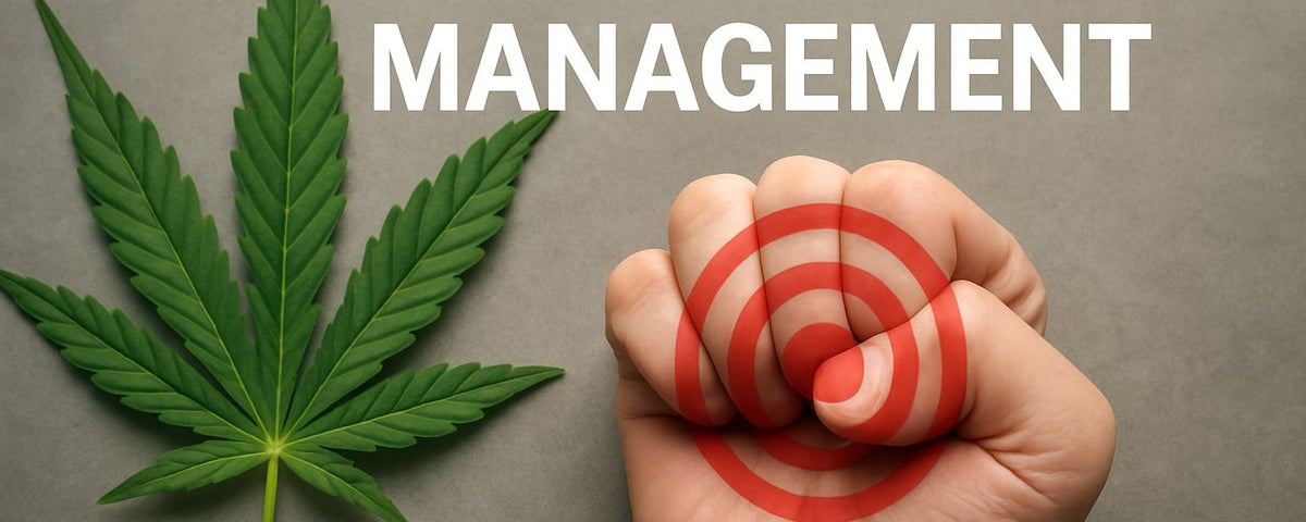 7 Essential CBD Pain Management Tips for 2026