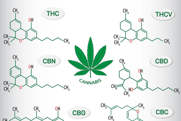 Exploring Cannabinoids: Beyond CBD and THC