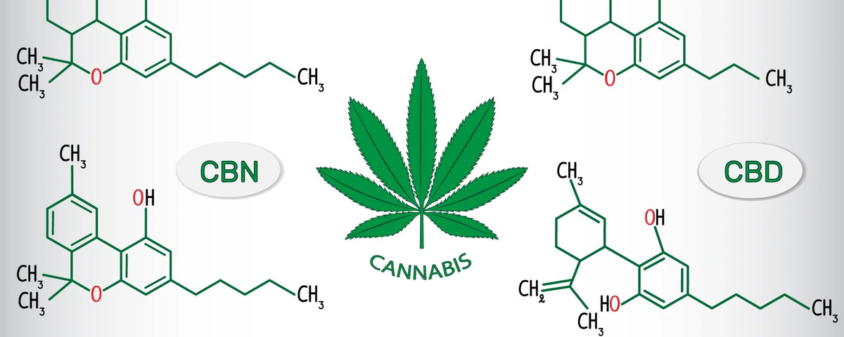 Exploring Cannabinoids: Beyond CBD and THC