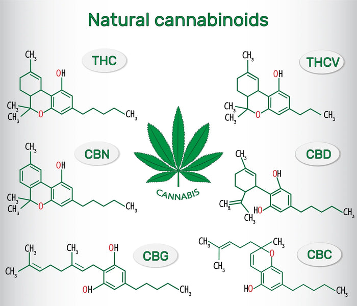 A World of Cannabinoids; Not just CBD and THC