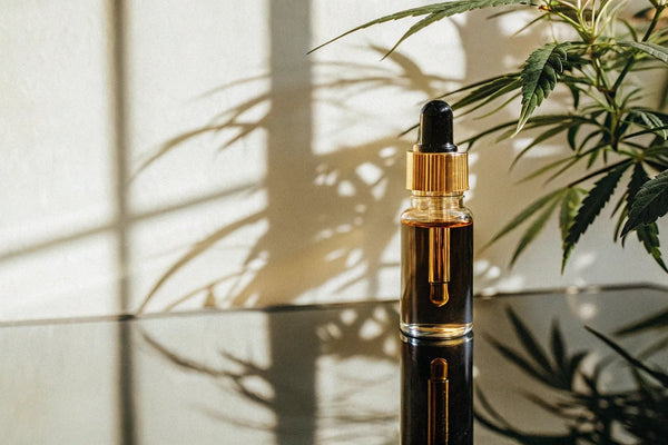 Cannabis Tincture Drops: A Simple Guide to Their Uses & Benefits