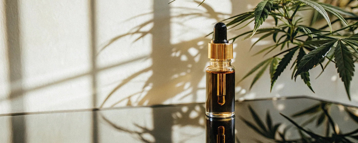Cannabis Tincture Drops: A Simple Guide to Their Uses & Benefits