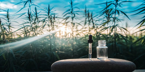 CBD Dosage for Chronic Pain: A Practical Guide - Reclaim Labs