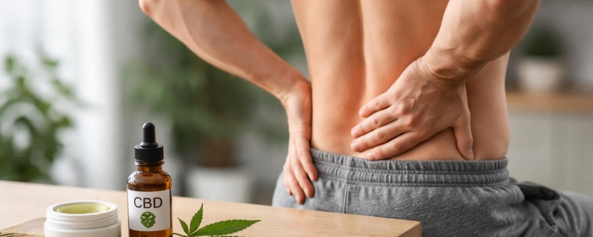 CBD for Back Pain: Natural Relief for Chronic Discomfort