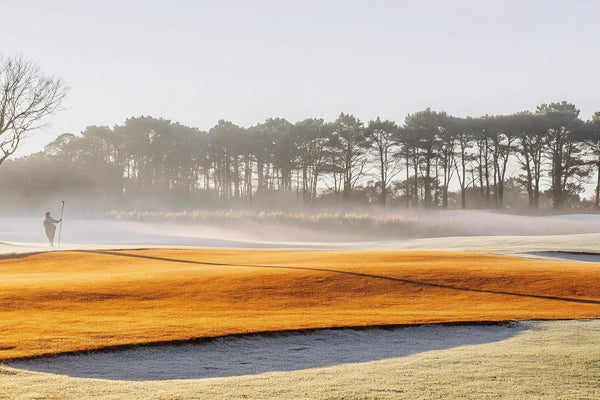 CBD for Golfers: A Guide to Better Play & Recovery