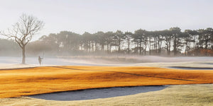 CBD for Golfers: A Guide to Better Play & Recovery - Reclaim Labs
