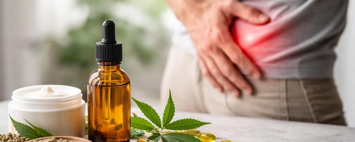 CBD for Hip Pain Relief: Your Complete Guide in 2026