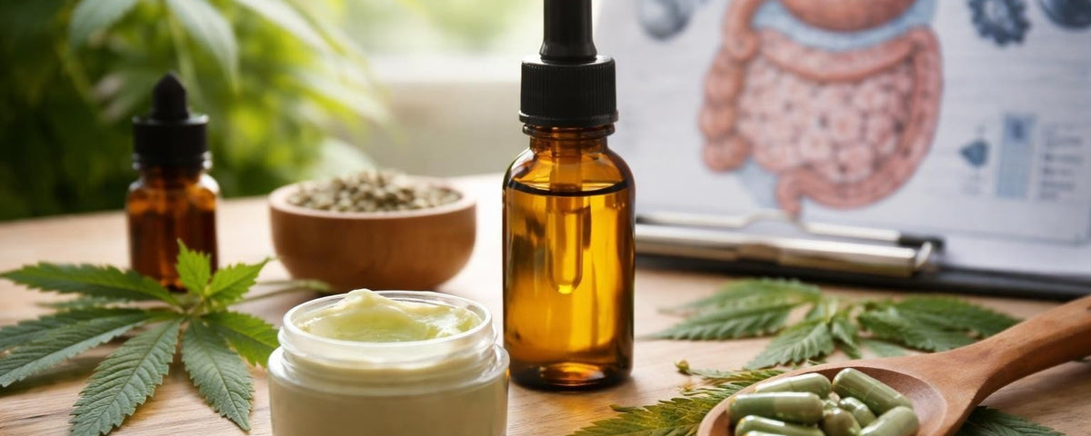 CBD for Inflammatory Bowel Disease: 2026 Guide