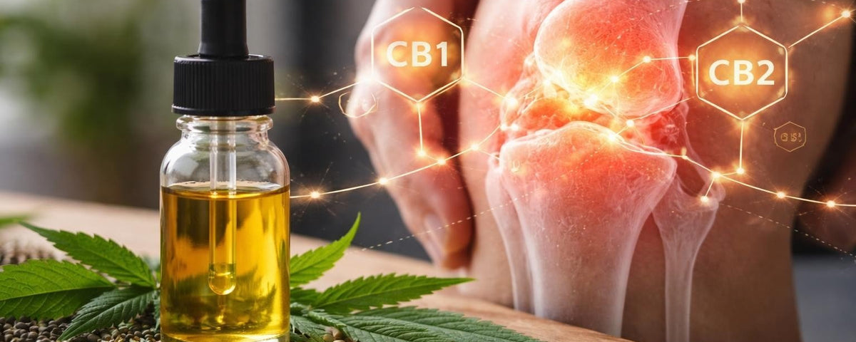 CBD for Joint Inflammation: Research and Benefits