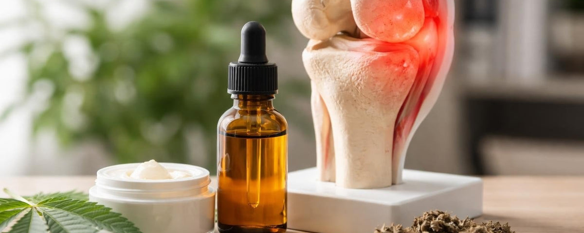 CBD for Knee Pain Arthritis: Evidence and Relief Guide