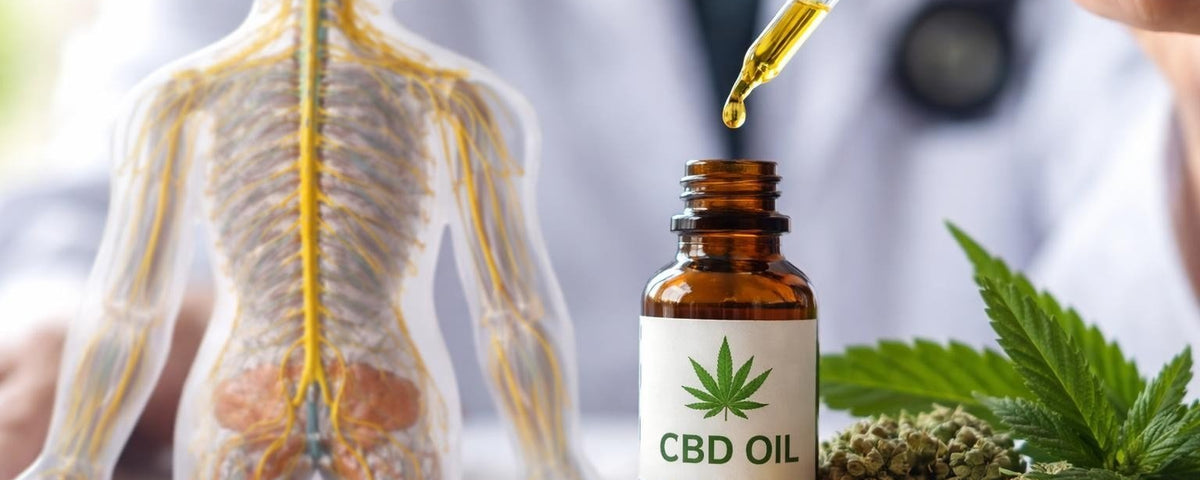 CBD for Nerve Pain Neuropathy: Complete 2026 Guide
