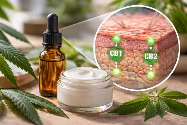 CBD for Psoriasis Inflammation: Research & Benefits