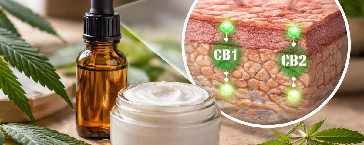 CBD for Psoriasis Inflammation: Research & Benefits