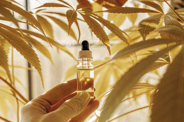 CBD Oil Dosage for Arthritis: Your Guide