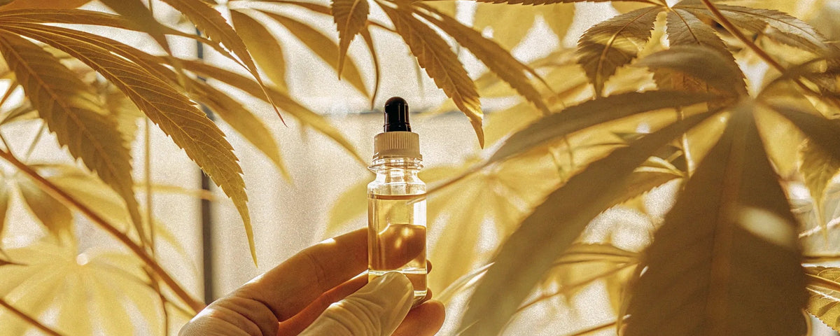 CBD Oil Dosage for Arthritis: Your Guide