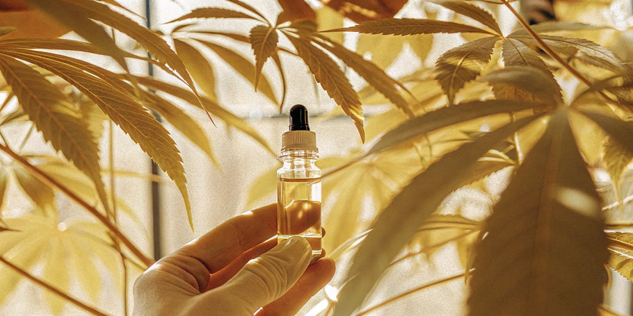 CBD Oil Dosage for Arthritis: Your Guide