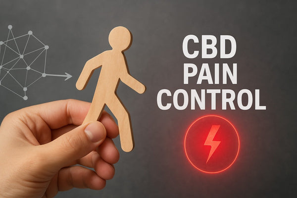 CBD Pain Control Guide: Your Essential Handbook for 2026