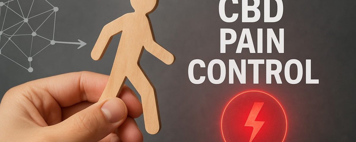 CBD Pain Control Guide: Your Essential Handbook for 2026