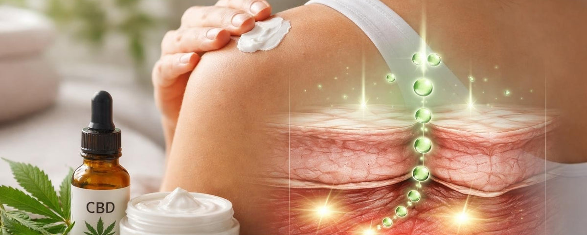 CBD Topical for Pain: Benefits, Uses, and What Works
