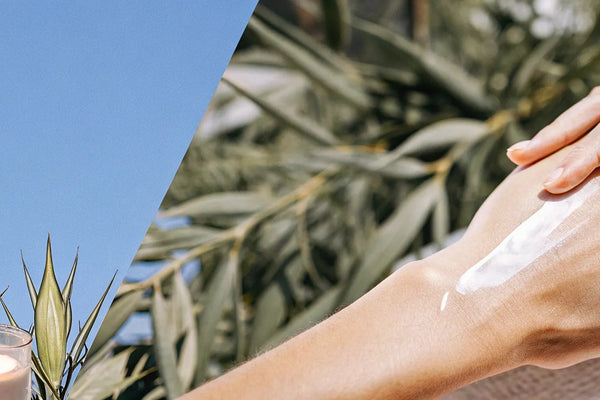 CBD Topicals: Your Guide to Pain Relief & Wellness