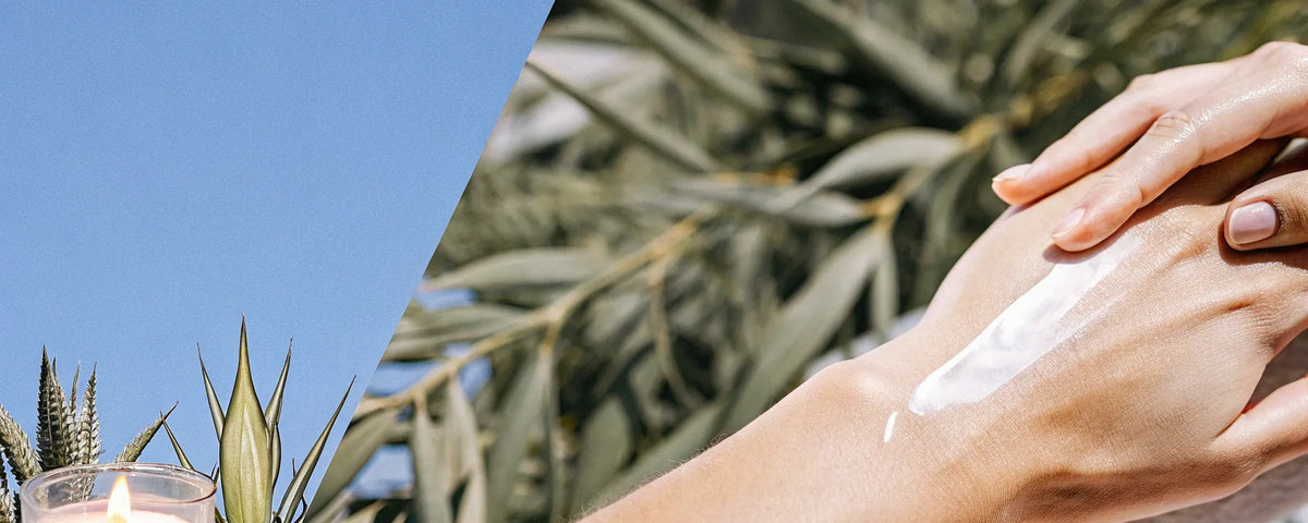 CBD Topicals: Your Guide to Pain Relief & Wellness