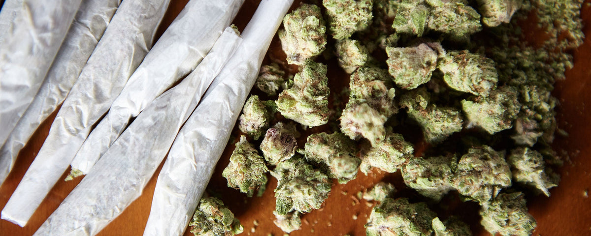 From Aching Joints to Sound Sleep: CBD's Multifaceted Role in Pain Management