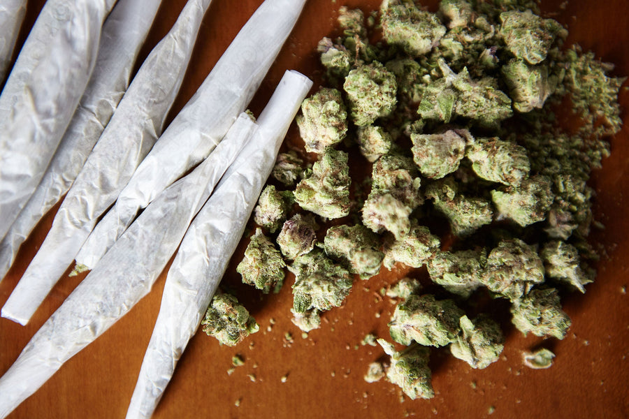 From Aching Joints to Sound Sleep: CBD's Multifaceted Role in Pain Management