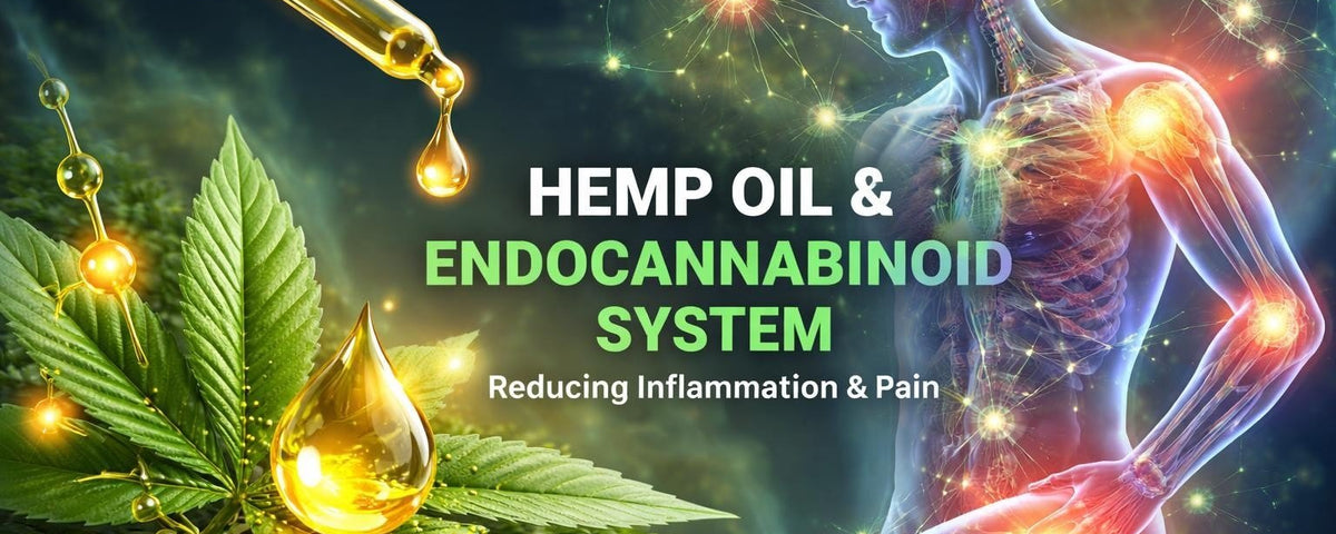 Hemp Oil Pain Relief: Science-Backed Natural Solutions