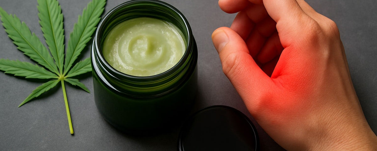 Hemp Ointment for Pain: The Essential Guide for 2026