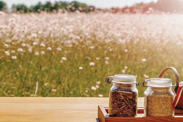 Herbal Blends for Pain Relief: A Complete Guide