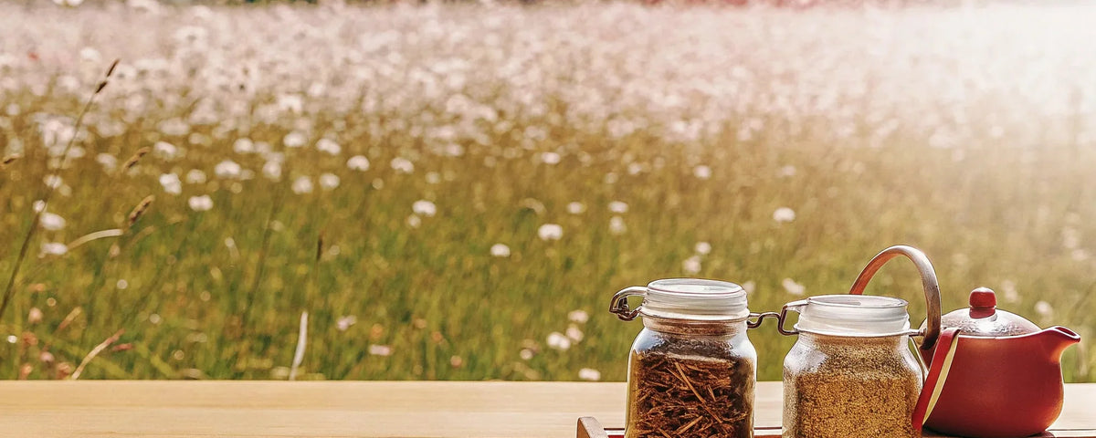 Herbal Blends for Pain Relief: A Complete Guide