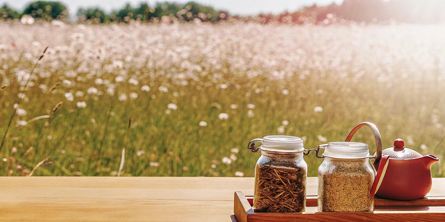 Herbal Blends for Pain Relief: A Complete Guide