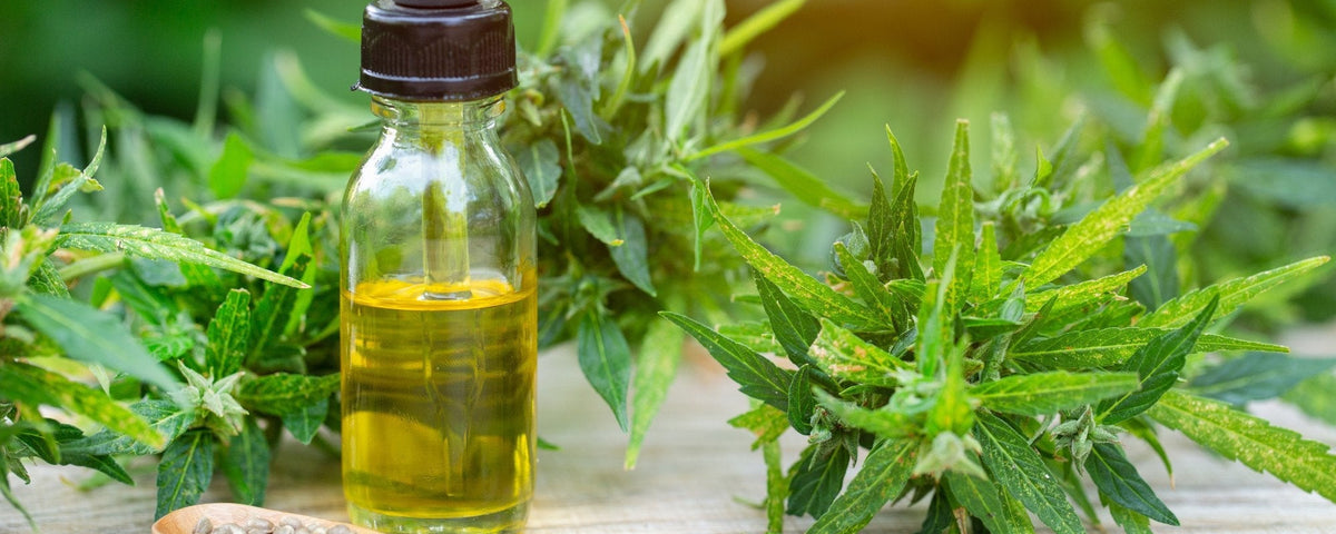 How CBD Can Help with Arthritis