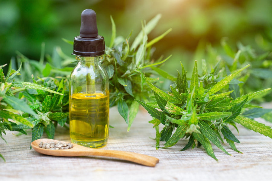 How CBD Can Help with Arthritis