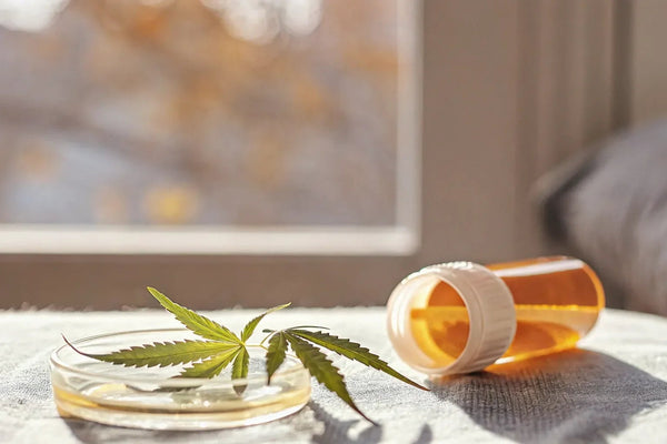 How CBD Interacts with Prescription Drugs: What to Know