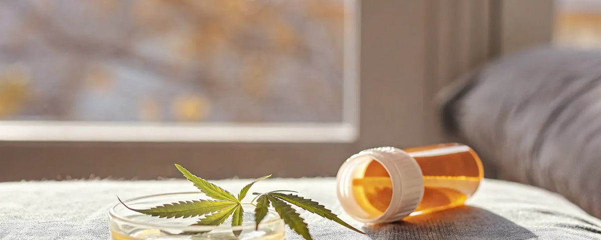 How CBD Interacts with Prescription Drugs: What to Know