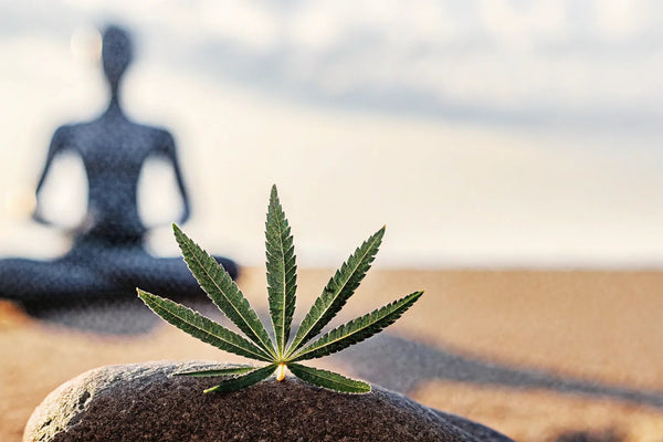 How CBD Works with Your Endocannabinoid System