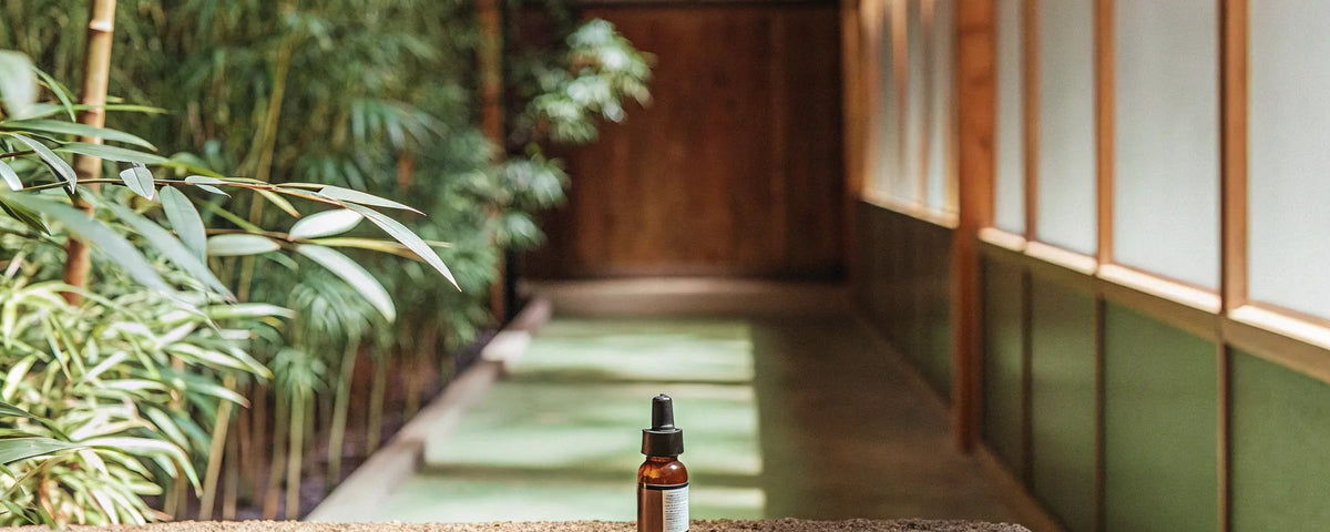 How to Order a Nano CBD Roll On Stick for Pain Relief