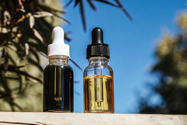 Nano CBD vs. Regular CBD: Absorption, Effects & Cost Compared