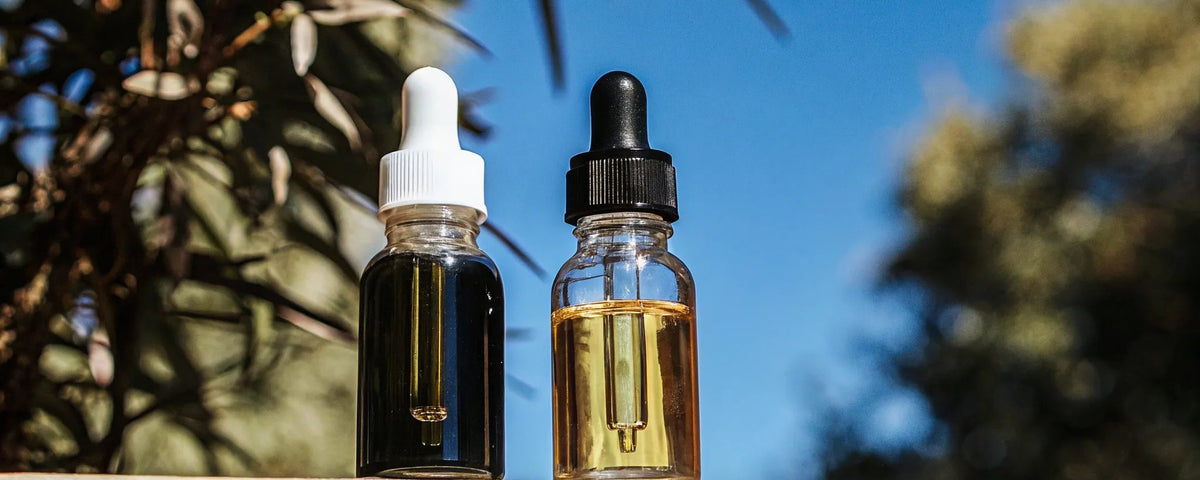 Nano CBD vs. Regular CBD: Absorption, Effects & Cost Compared