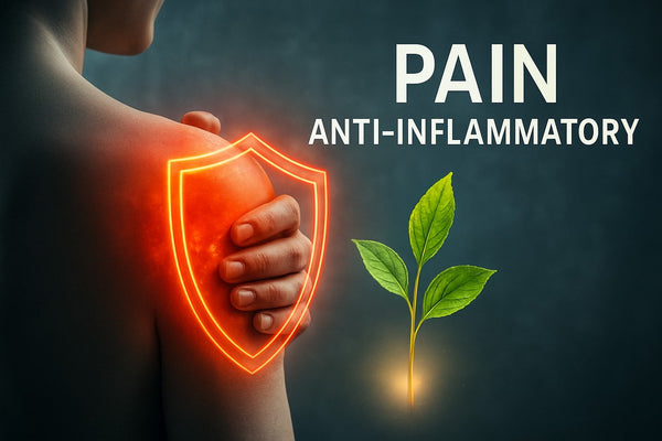 Pain Anti Inflammatory Guide: Expert Insights for 2026