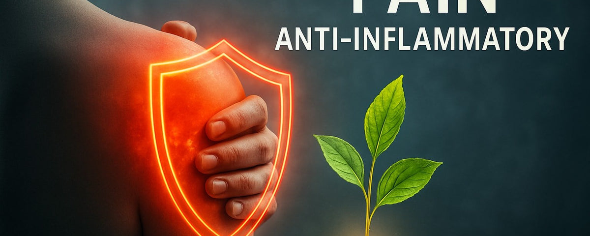 Pain Anti Inflammatory Guide: Expert Insights for 2026