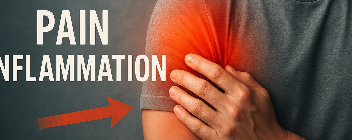 Pain Inflammation Guide: Effective Relief Strategies 2026