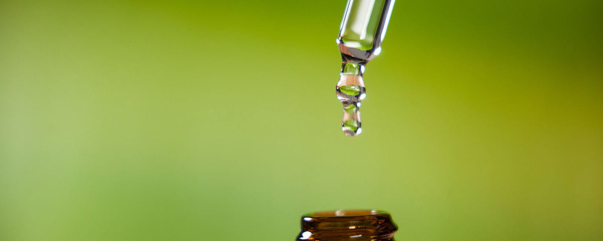 The Beginner’s Guide to Taking CBD Oil Using CBD Oil Drops