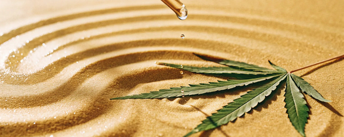 What is Liposomal CBD? A Guide to Enhanced Absorption